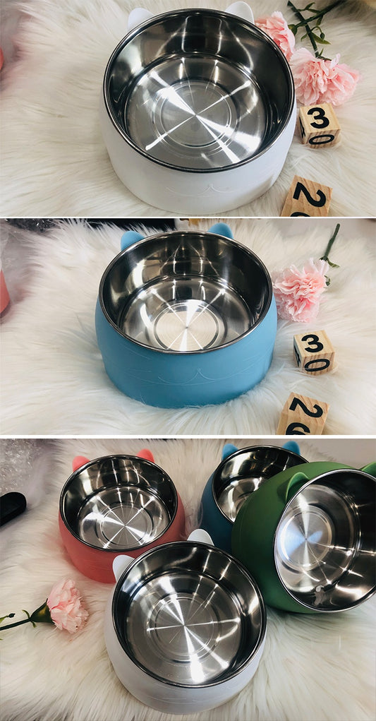 Ceramic Feeding Bowl