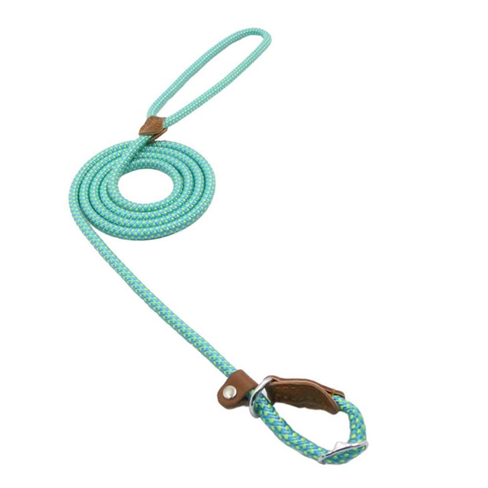 Strong and Sturdy Nylon Dog Collar, Lead, P Type