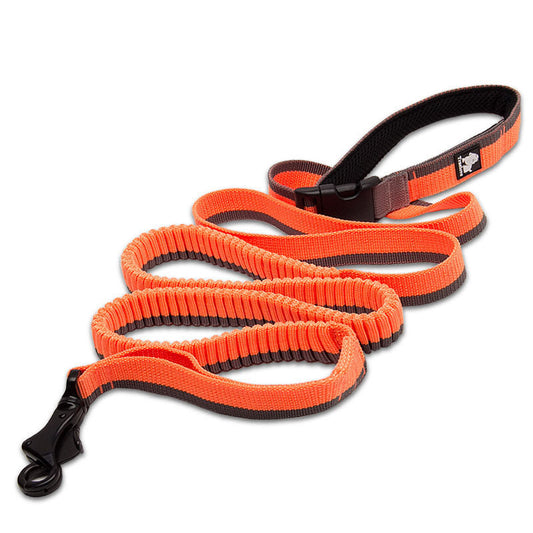 Elastic Running Leash — Shock-Absorbing
