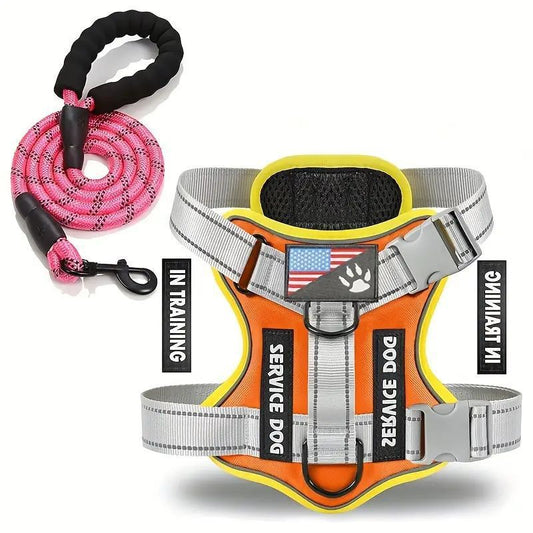 Chest-Strap Leash — No-Choke Design